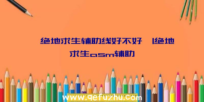 「绝地求生辅助线好不好」|绝地求生asm辅助